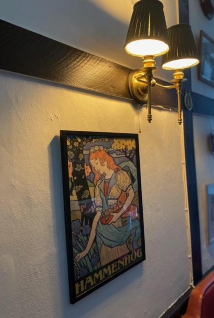 Hammenhoegs Gaestgivaregard エクステリア 写真